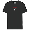 Picture of Liverpool Anfield Edition