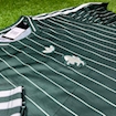 صورة Juventus 25/26 Terrace Icons jersey Green