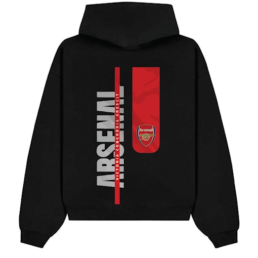Picture of Arsenal Emblem Hoodie