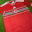 Picture of Wales 2026 Home World Cup Edition