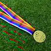Picture of Champions League 2003 Medal