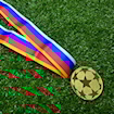 Picture of Champions League Final 2003 Medal