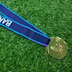 Picture of Premier League 07/08 Medal