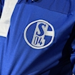 Picture of Schalke 10/11 Home Raul