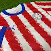 Picture of Paraguay 2026 Home
